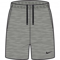 Nike Pantaloncini Team Park 20 Grigio